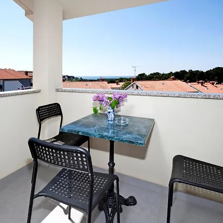 בית הארחה Beakovic פורץ